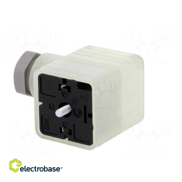 Connector: valve connector | plug | form A | 18mm | female | PIN: 3 | 8A фото 4