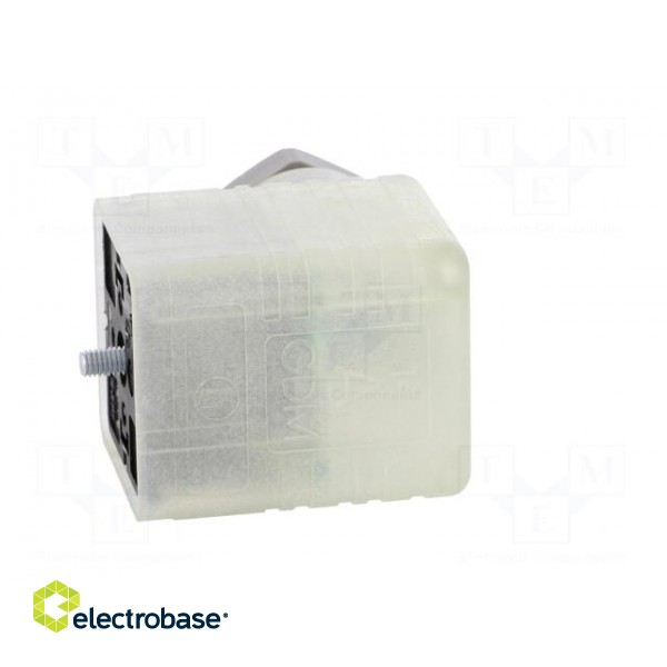 Connector: valve connector | plug | form A | 18mm | female | PIN: 3 | 8A image 5