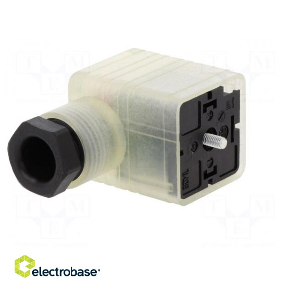Connector: valve connector | plug | form A | 18mm | female | PIN: 3 | 8A фото 2