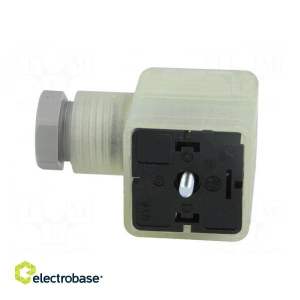 Connector: valve connector | plug | form A | 18mm | female | PIN: 3 | 8A paveikslėlis 3