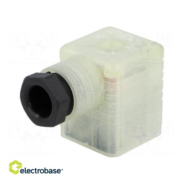 Connector: valve connector | plug | form A | 18mm | female | PIN: 3 | 8A image 1