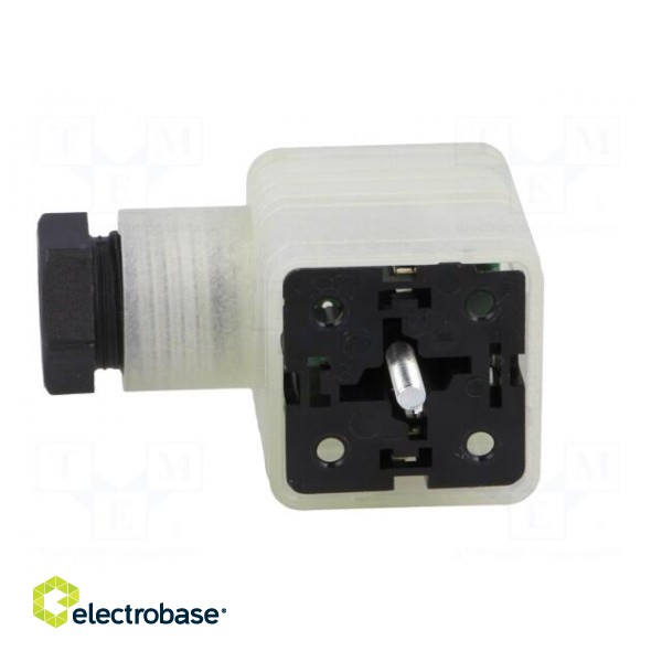 Connector: valve connector | plug | form A | 18mm | female | PIN: 3 | 8A фото 3