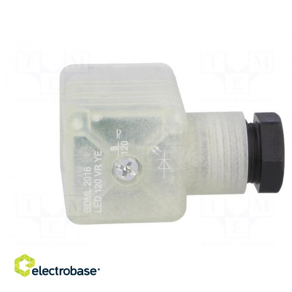 Connector: valve connector | plug | form A | 18mm | female | PIN: 3 | 8A фото 7