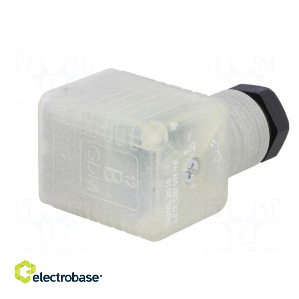 Connector: valve connector | plug | form A | 18mm | female | PIN: 3 | 8A фото 6