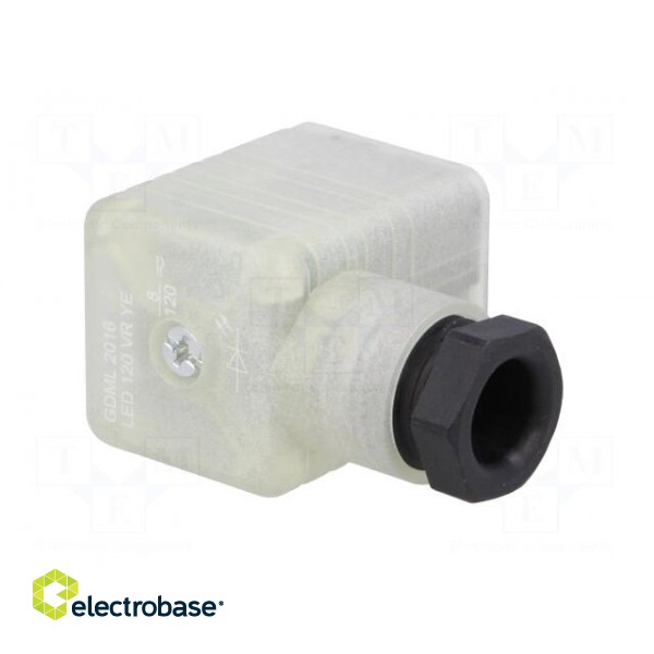 Connector: valve connector | plug | form A | 18mm | female | PIN: 3 | 8A paveikslėlis 8
