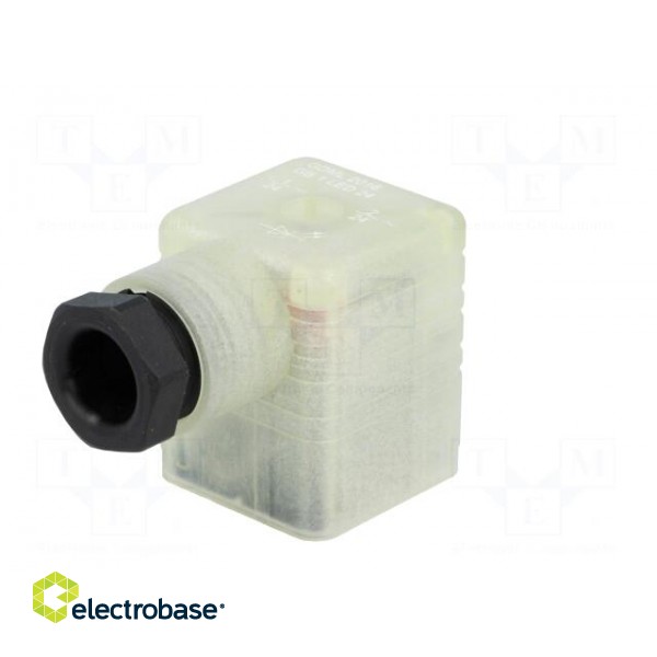 Connector: valve connector | plug | form A | 18mm | female | PIN: 3 | 8A image 2