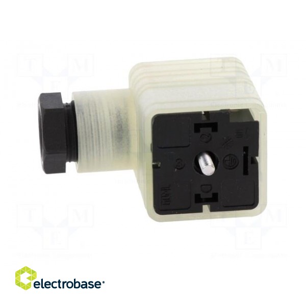 Connector: valve connector | plug | form A | 18mm | female | PIN: 3 | 8A paveikslėlis 3