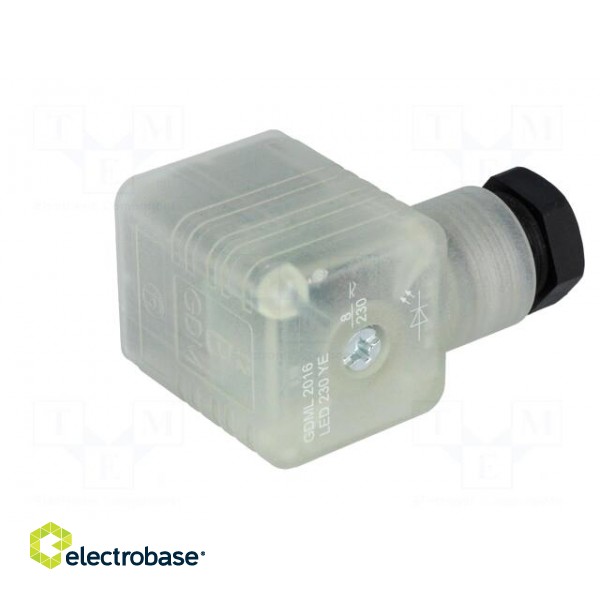 Connector: valve connector | plug | form A | 18mm | female | PIN: 3 | M16 image 6