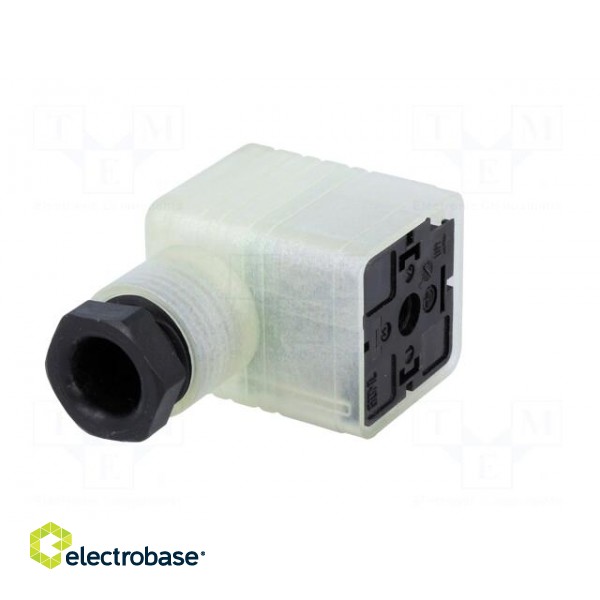 Connector: valve connector | plug | form A | 18mm | female | PIN: 3 | M16 image 2