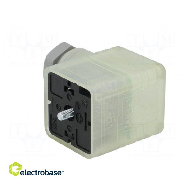 Connector: valve connector | plug | form A | 18mm | female | PIN: 3 | 8A paveikslėlis 4