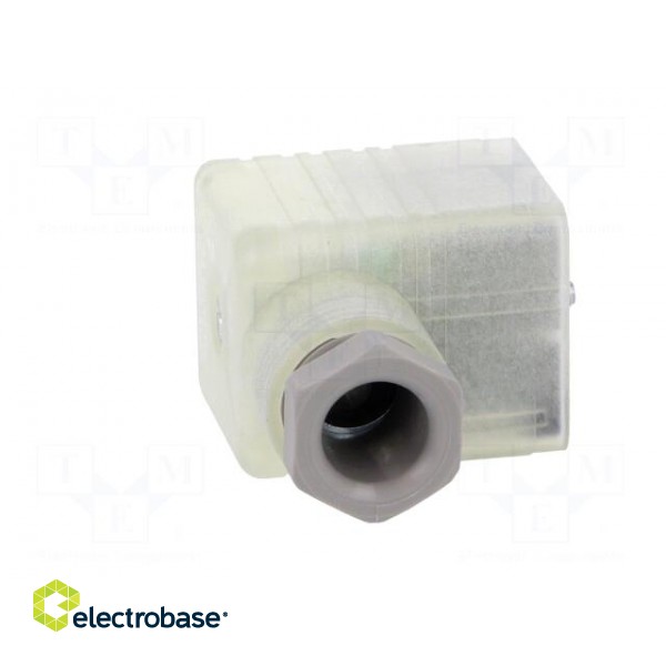 Connector: valve connector | plug | form A | 18mm | female | PIN: 3 | 8A фото 9