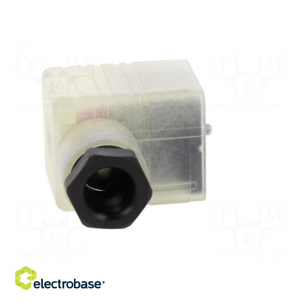 Connector: valve connector | plug | form A | 18mm | female | PIN: 3 | 8A фото 7