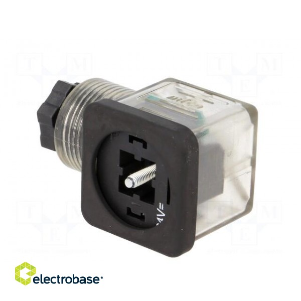 Connector: valve connector | plug | form A | 18mm | female | PIN: 3 | mPm image 4