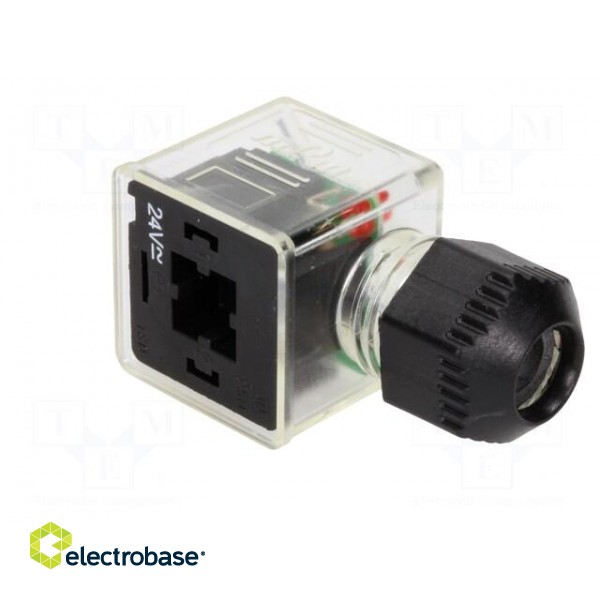 Connector: valve connector | plug | form A | 18mm | female | PIN: 3 | mPm image 2