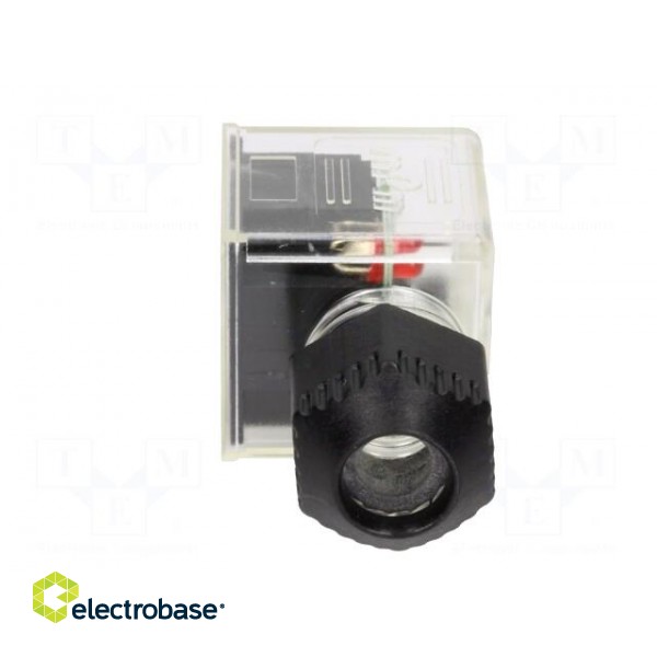 Connector: valve connector | plug | form A | 18mm | female | PIN: 3 | mPm фото 3