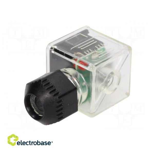 Connector: valve connector | plug | form A | 18mm | female | PIN: 3 | mPm image 4