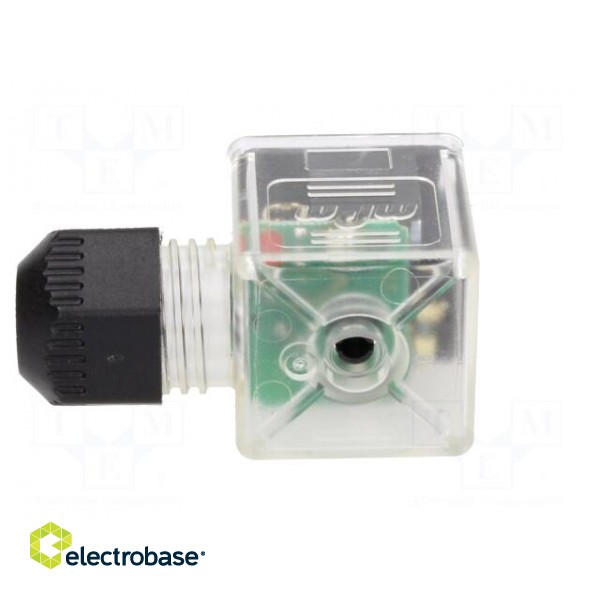 Connector: valve connector | plug | form A | 18mm | female | PIN: 3 | mPm image 5