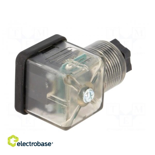 Connector: valve connector | plug | form A | 18mm | female | PIN: 3 | mPm image 6