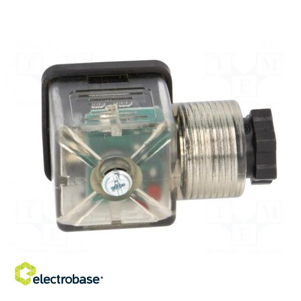 Connector: valve connector | plug | form A | 18mm | female | PIN: 3 | mPm image 7