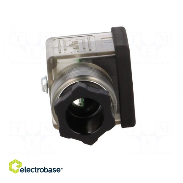 Connector: valve connector | plug | form A | 18mm | female | PIN: 3 | mPm paveikslėlis 9