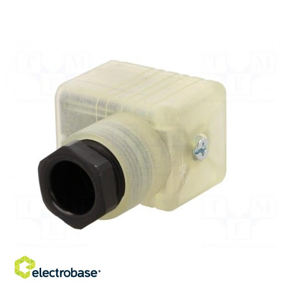 Connector: valve connector | plug | form A | 18mm | female | PIN: 3 | PG11 фото 4