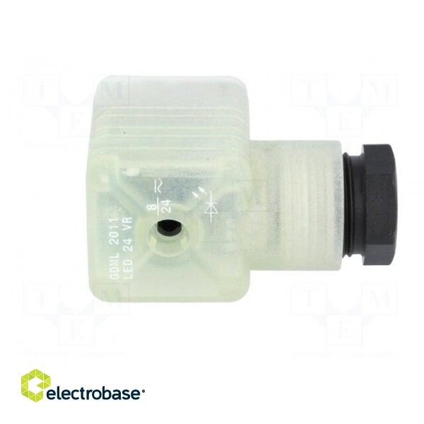 Connector: valve connector | plug | form A | 18mm | female | PIN: 3 | PG11 image 7