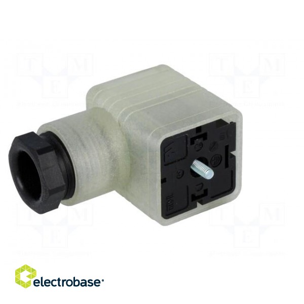 Connector: valve connector | plug | form A | 18mm | female | PIN: 3 | PG11 фото 2