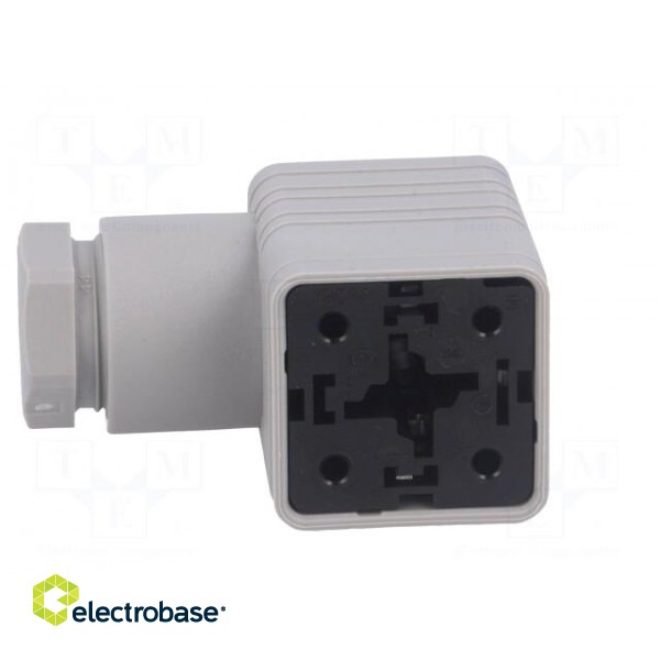 Connector: valve connector | plug | form A | 18mm | female | PIN: 3 | 16A image 3