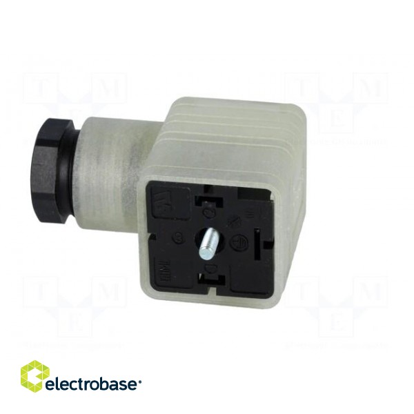 Connector: valve connector | plug | form A | 18mm | female | PIN: 3 | PG11 фото 3