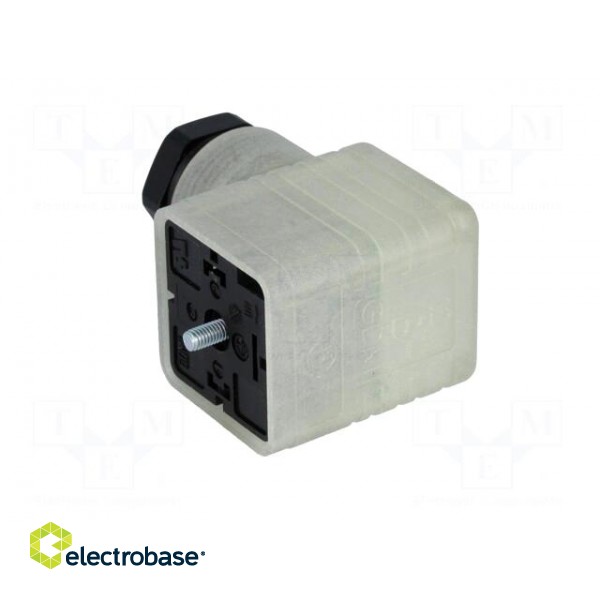 Connector: valve connector | plug | form A | 18mm | female | PIN: 3 | PG11 image 4