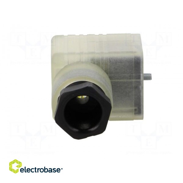 Connector: valve connector | plug | form A | 18mm | female | PIN: 3 | PG11 image 9