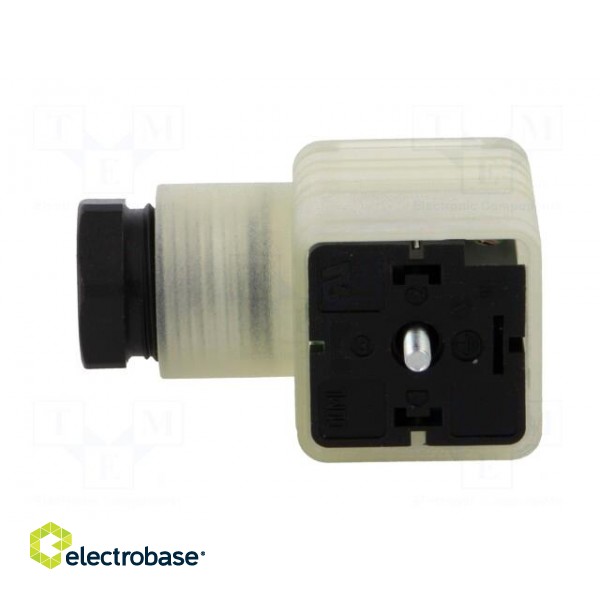 Connector: valve connector | plug | form A | 18mm | female | PIN: 3 | PG11 image 3