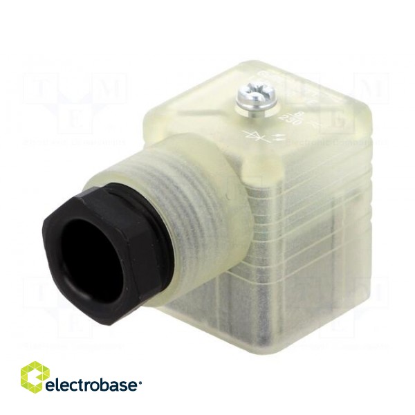 Connector: valve connector | plug | form A | 18mm | female | PIN: 3 | 8A image 1