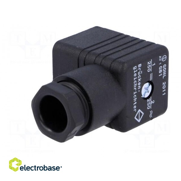Connector: valve connector | plug | form A | 18mm | female | PIN: 3 | PG11 paveikslėlis 4