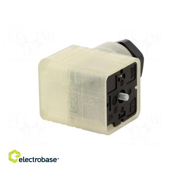 Connector: valve connector | plug | form A | 18mm | female | PIN: 3 | PG11 фото 8