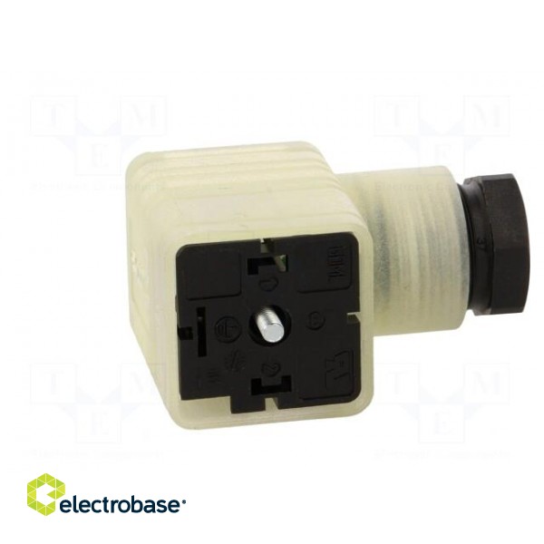 Connector: valve connector | plug | form A | 18mm | female | PIN: 3 | PG11 фото 9