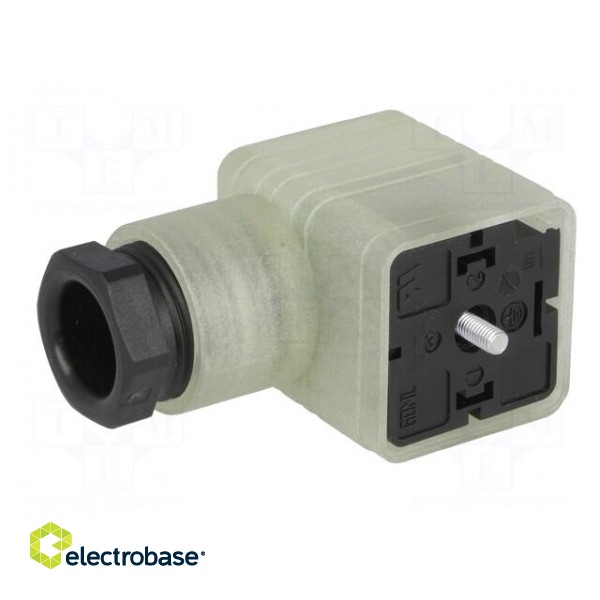 Connector: valve connector | plug | form A | 18mm | female | PIN: 3 | PG11 image 2