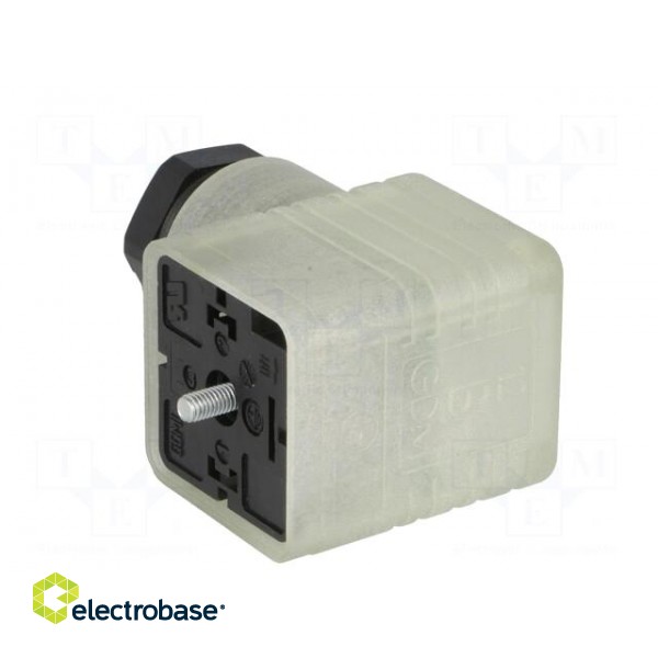 Connector: valve connector | plug | form A | 18mm | female | PIN: 3 | PG11 image 4