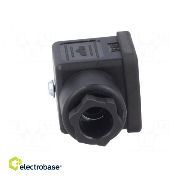 Connector: valve connector | plug | form A | 18mm | female | PIN: 4 | 3+PE image 9