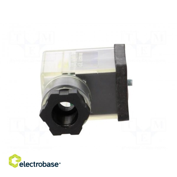 Connector: valve connector | plug | form B | 10mm | female | PIN: 3 | 110V фото 9