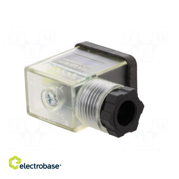Connector: valve connector | plug | form B | 10mm | female | PIN: 3 | 110V фото 8
