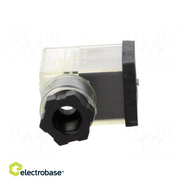 Connector: valve connector | plug | form B | 10mm | female | PIN: 3 | 24V paveikslėlis 9