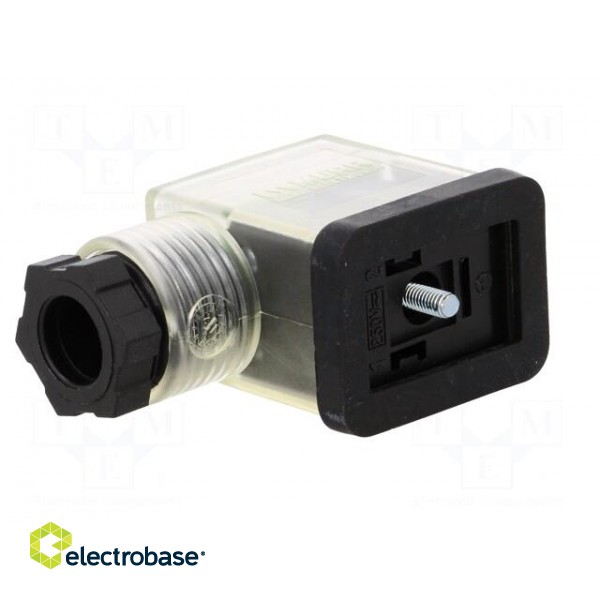 Connector: valve connector | plug | form B | 10mm | female | PIN: 3 | 24V фото 2