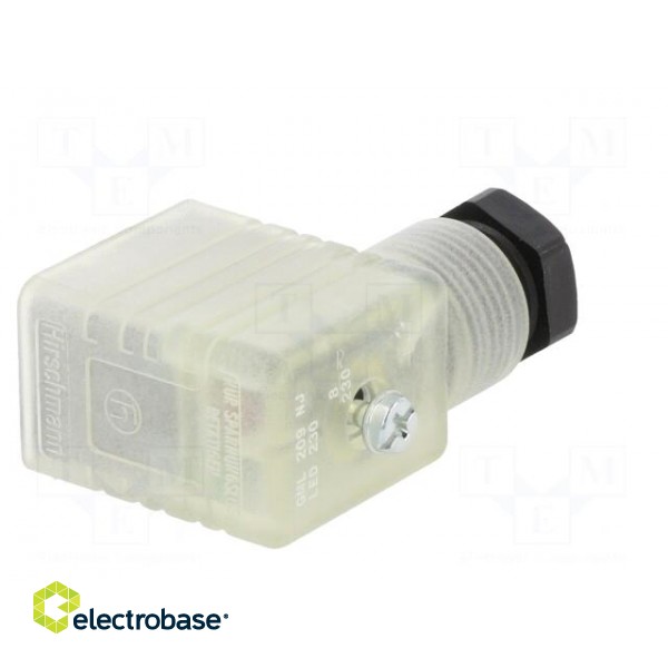 Connector: valve connector | plug | form B | 11mm | female | PIN: 3 | 250V image 6