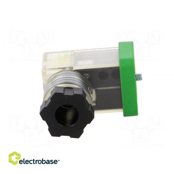 Connector: valve connector | plug | form C | 8mm | female | PIN: 3 | 4÷6mm фото 9