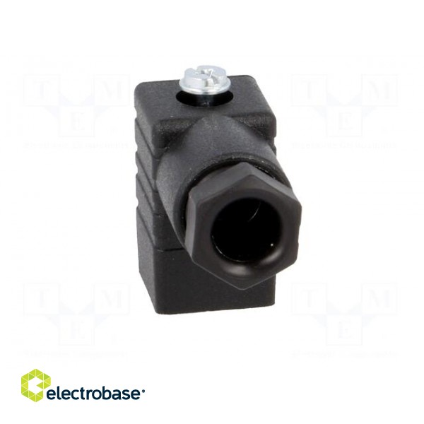 Connector: valve connector | plug | form C | 8mm | female | PIN: 3 | 6A image 9