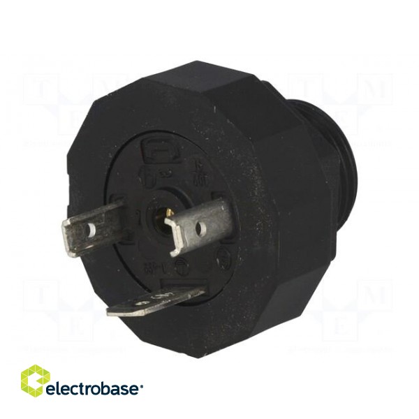 Connector: valve connector | socket | form A | 18mm | male | PIN: 3 | 16A paveikslėlis 1