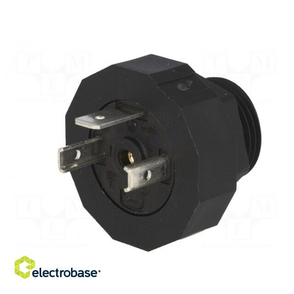 Connector: valve connector | socket | form A | 18mm | male | PIN: 3 | 16A image 2