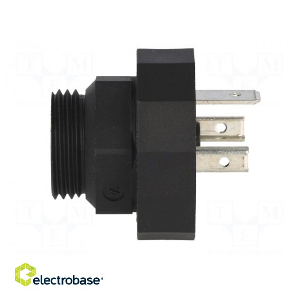 Connector: valve connector | socket | form A | 18mm | male | PIN: 3 | 16A image 7