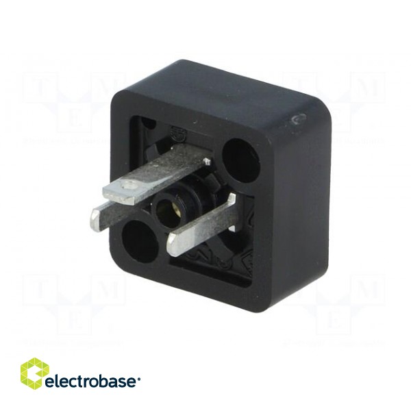 Connector: valve connector | socket | form C | 8mm | male | PIN: 3 | 6A image 6